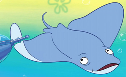 Stan the Manta