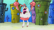 Yeti Krabs 089