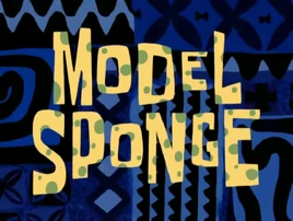 Model Sponge