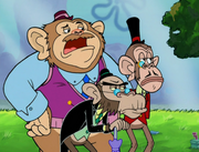 Chimps Ahoy 167