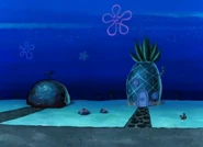 А где дом Сквидварда?