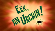Eek, an Urchin! title card