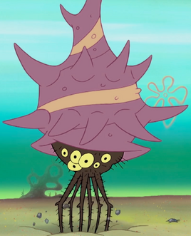 Shelled spider-like creature