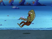 Home Sweet Pineapple 008