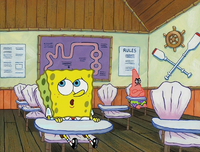 New Student Starfish 162