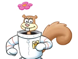Сэнди Чикс