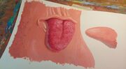 Process photo #1