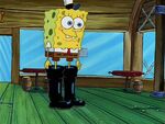 Botas