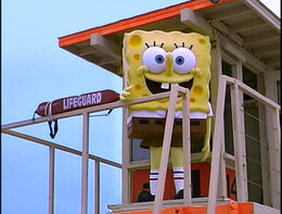 SpongeGuard on Duty 029