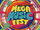 Mega Music Fest