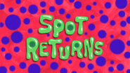 Spot Returns