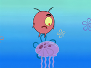 Plankton Pays 016