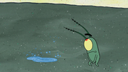 Plankton Gets the Boot 062