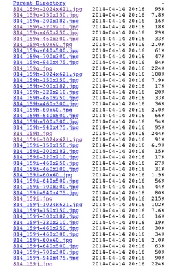 Storyboard files found in Maureen Mascarina's portfolio directory.