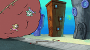 Moving Bubble Bass 117