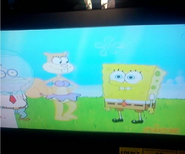 2013-01-01 1400pm SpongeBob SquarePants