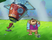 Chimps Ahoy 178