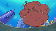 Moving Bubble Bass 095