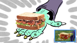 Animatic Desert Sandwich.png