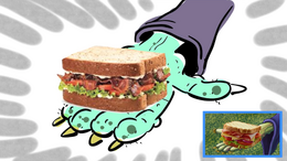 Animatic Desert Sandwich