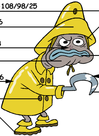 Old fisherman yellow raincoat 2025