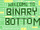 Welcome to Binary Bottom