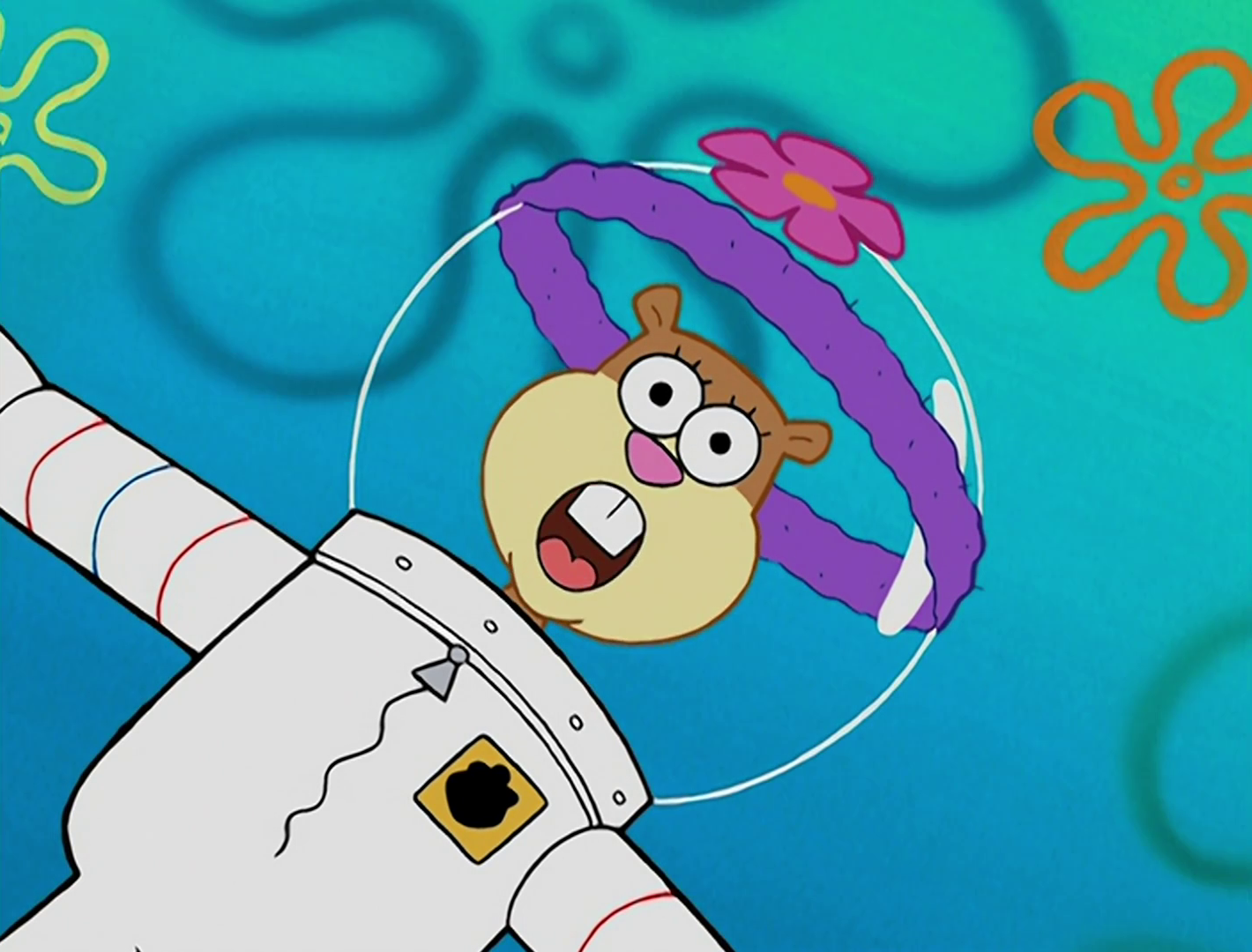 Sandy Cheeks Encyclopedia Spongebobia Fandom