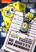 Dutch cover