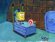 H5862-L57596215.jpg (195 KB)