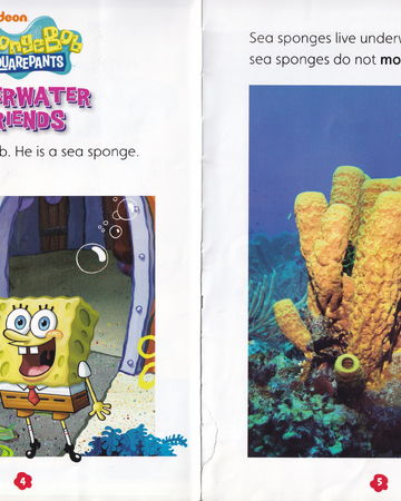 Sponge Encyclopedia Spongebobia Fandom