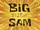 Big Sister Sam