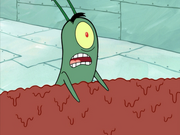 Plankton's Regular 040