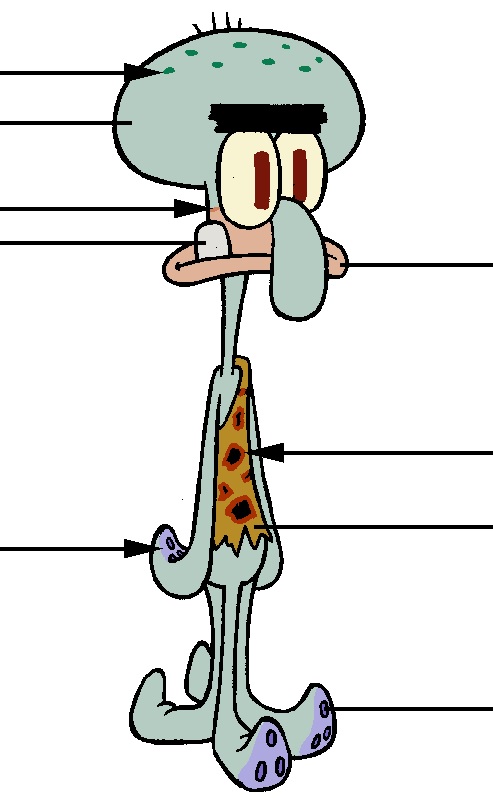 Squidward Tentacles' house, Encyclopedia SpongeBobia