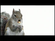 Sandy Cheeks the Squirrel (Deleted Scene)