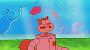 Губка боб дикие друзья. Сэнди гигант. Сэнди 2022. Sandy Cheeks crying.