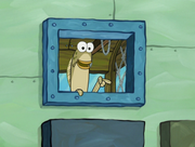 Incidental 105 showing interest in a Krusty Dog.