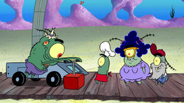Plankton Family