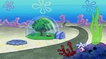 Sandy Cheeks' treedome/gallery | Encyclopedia SpongeBobia | Fandom