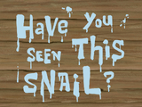 Have You Seen This Snail?