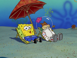 SpongeBob s swim trunks gallery Encyclopedia SpongeBobia Fandom