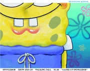 Sb bg ws.jpeg (162 KB)