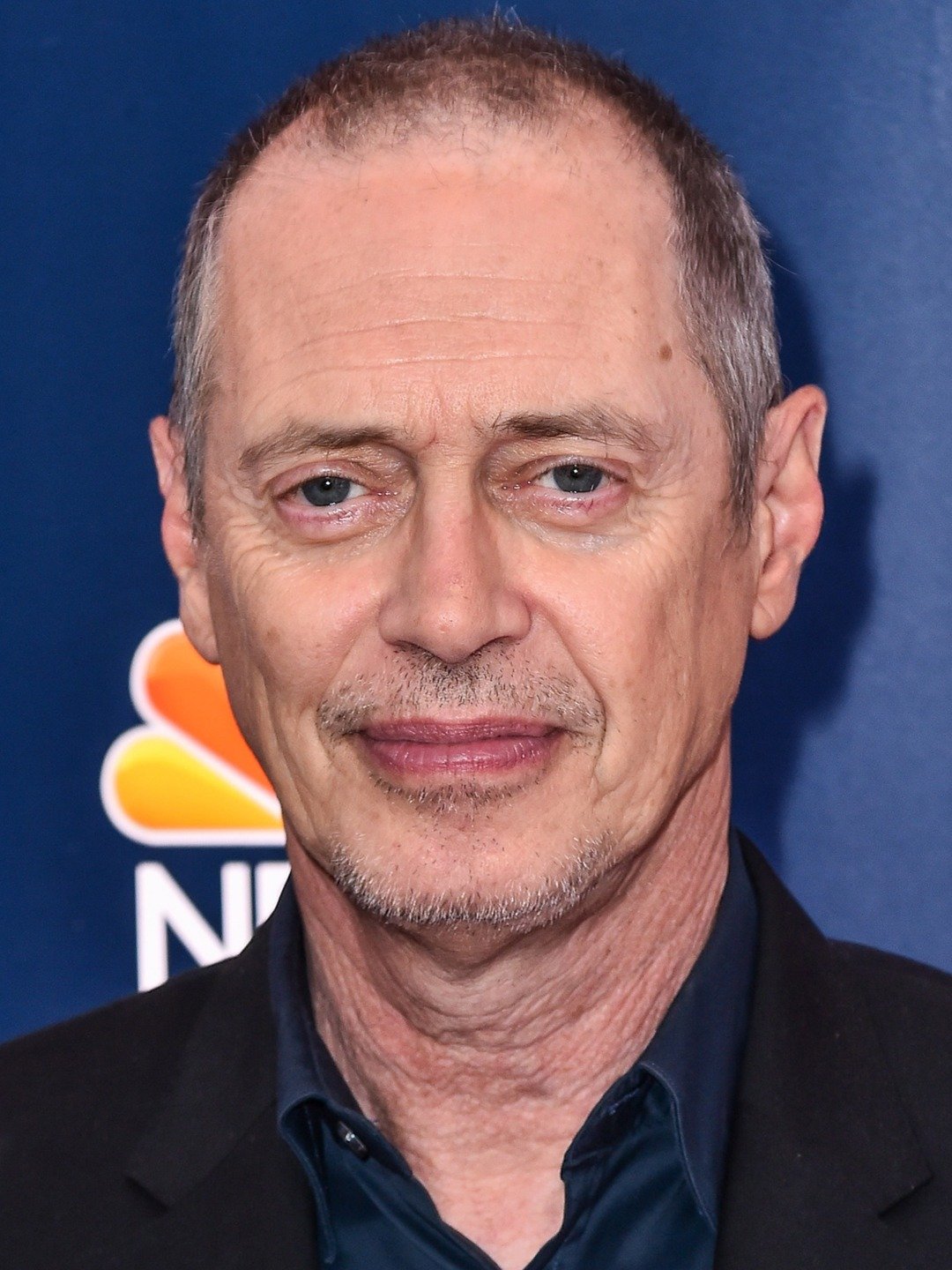 Steve Buscemi Encyclopedia SpongeBobia Fandom