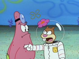 Sandy Cheeks Encyclopedia Spongebobia Fandom