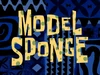 Model Sponge title card