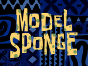 Model Sponge title card