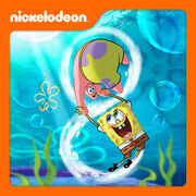 SpongeBob Season 8 iTunes Cover