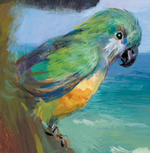 Painted parrot | Encyclopedia SpongeBobia | Fandom