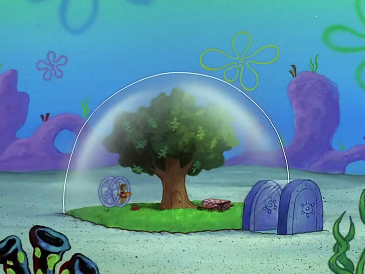 Sandy Cheeks' treedome/gallery | Encyclopedia SpongeBobia | Fandom