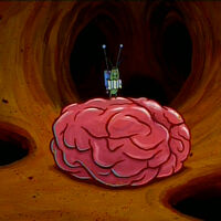Spongebob S Brain Encyclopedia Spongebobia Fandom Watch spongebob squarepants season 1 full episodes online free watchcartoononline. brain encyclopedia spongebobia fandom