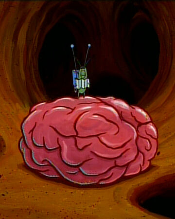 Spongebob S Brain Encyclopedia Spongebobia Fandom Spongebob brain office | www.picsbud.com. brain encyclopedia spongebobia fandom